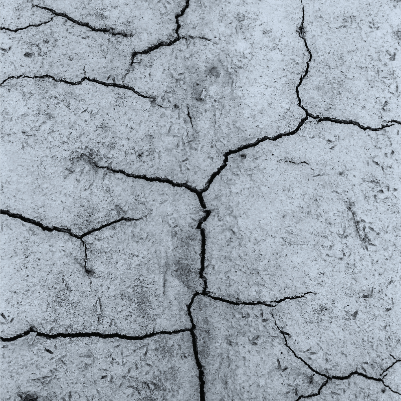 Stress is upstream of almost everything. A conversation with Dr. Stephen Dahmer on what to actually do about it