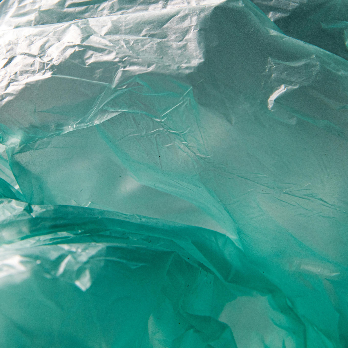 What happened when six couples cut plastic out of their lives for 90 days, according to the director of the movie The Plastic Detox